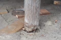 IMG-20190917-WA0000